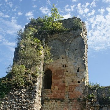 Château de Carlux