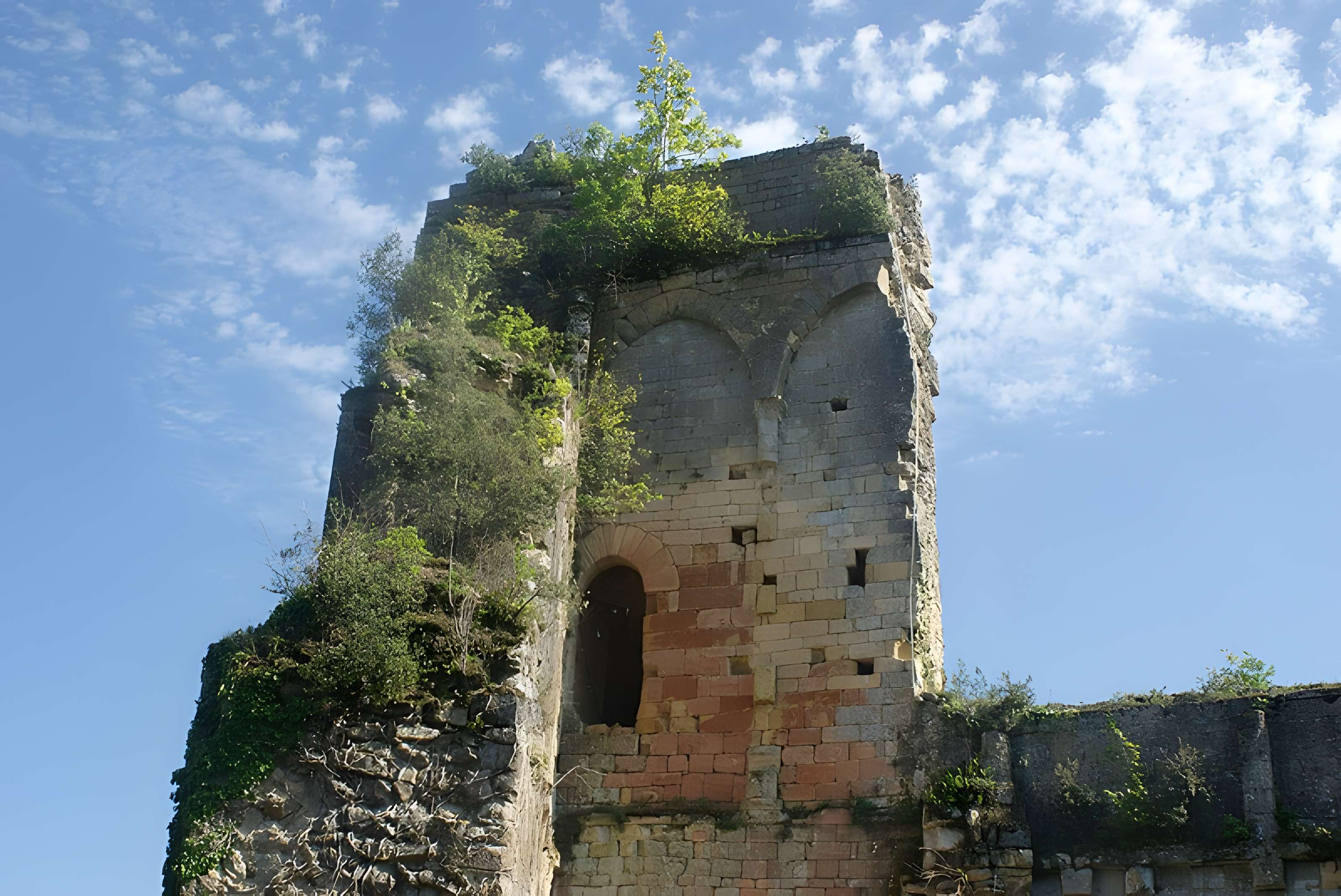 Château de Carlux