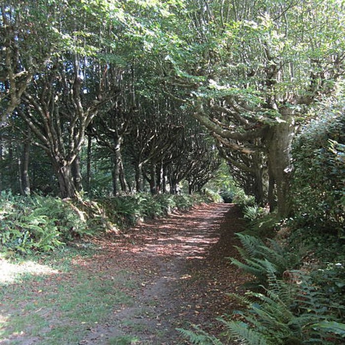 Photo de Château de Carneville