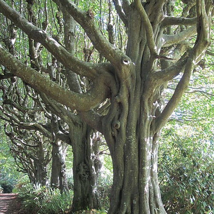Photo de Château de Carneville