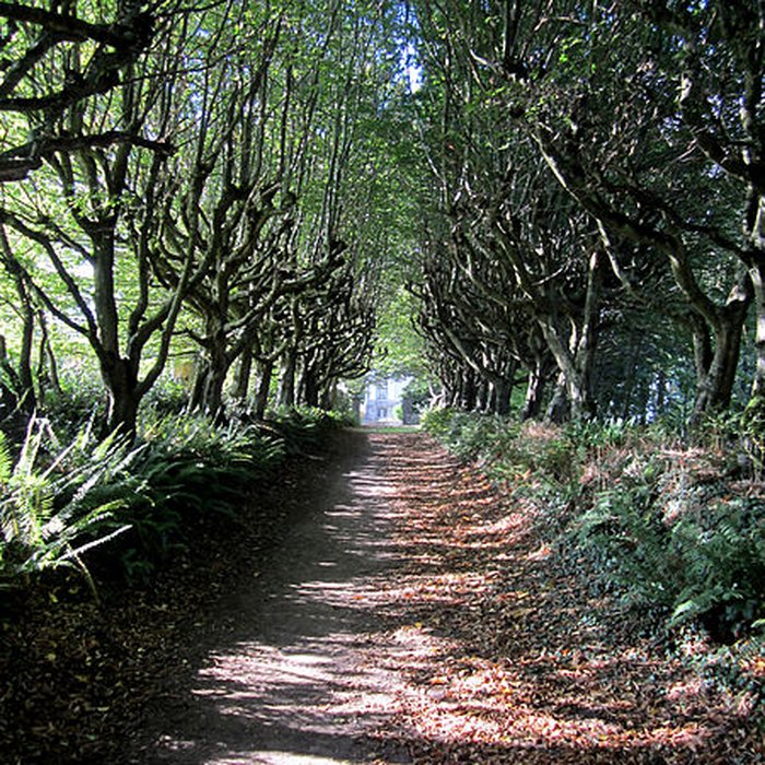 Photo de Château de Carneville