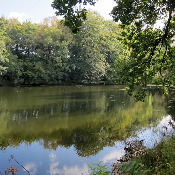 Photo de Château de Carneville