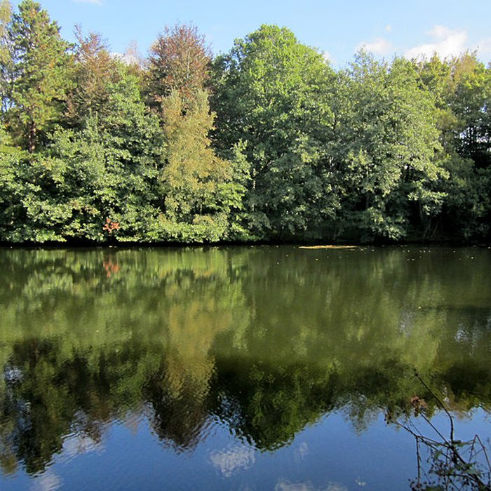 Photo de Château de Carneville