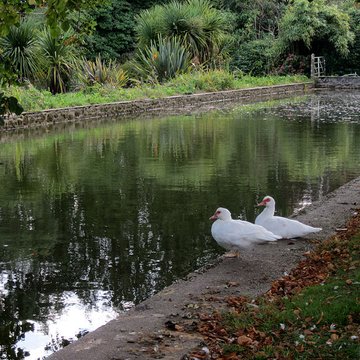 Château de Carneville