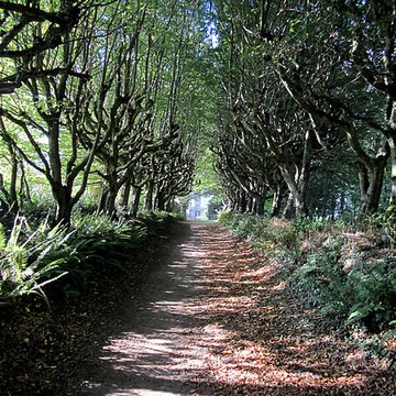 Château de Carneville