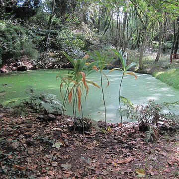 Château de Carneville