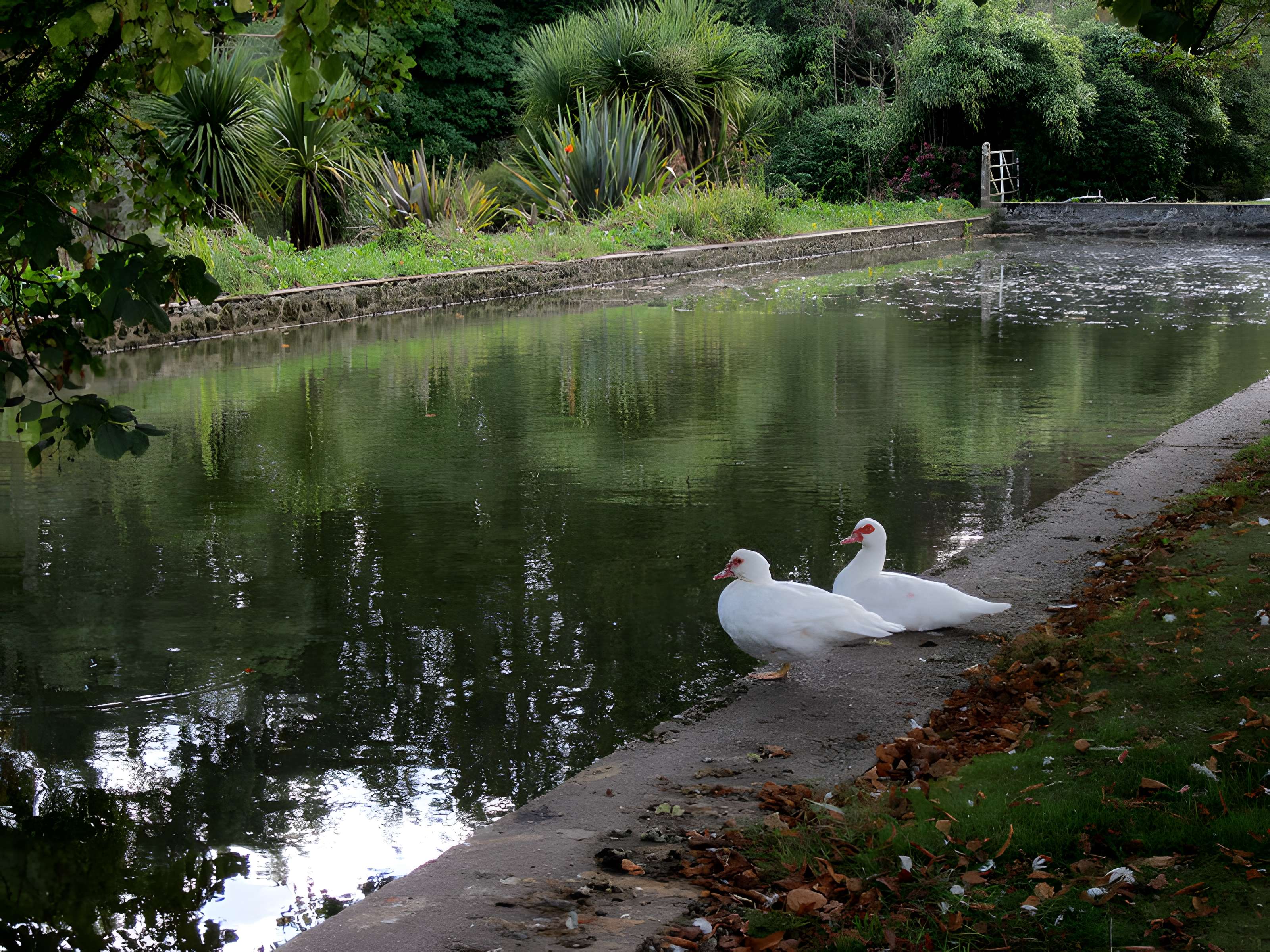 Château de Carneville