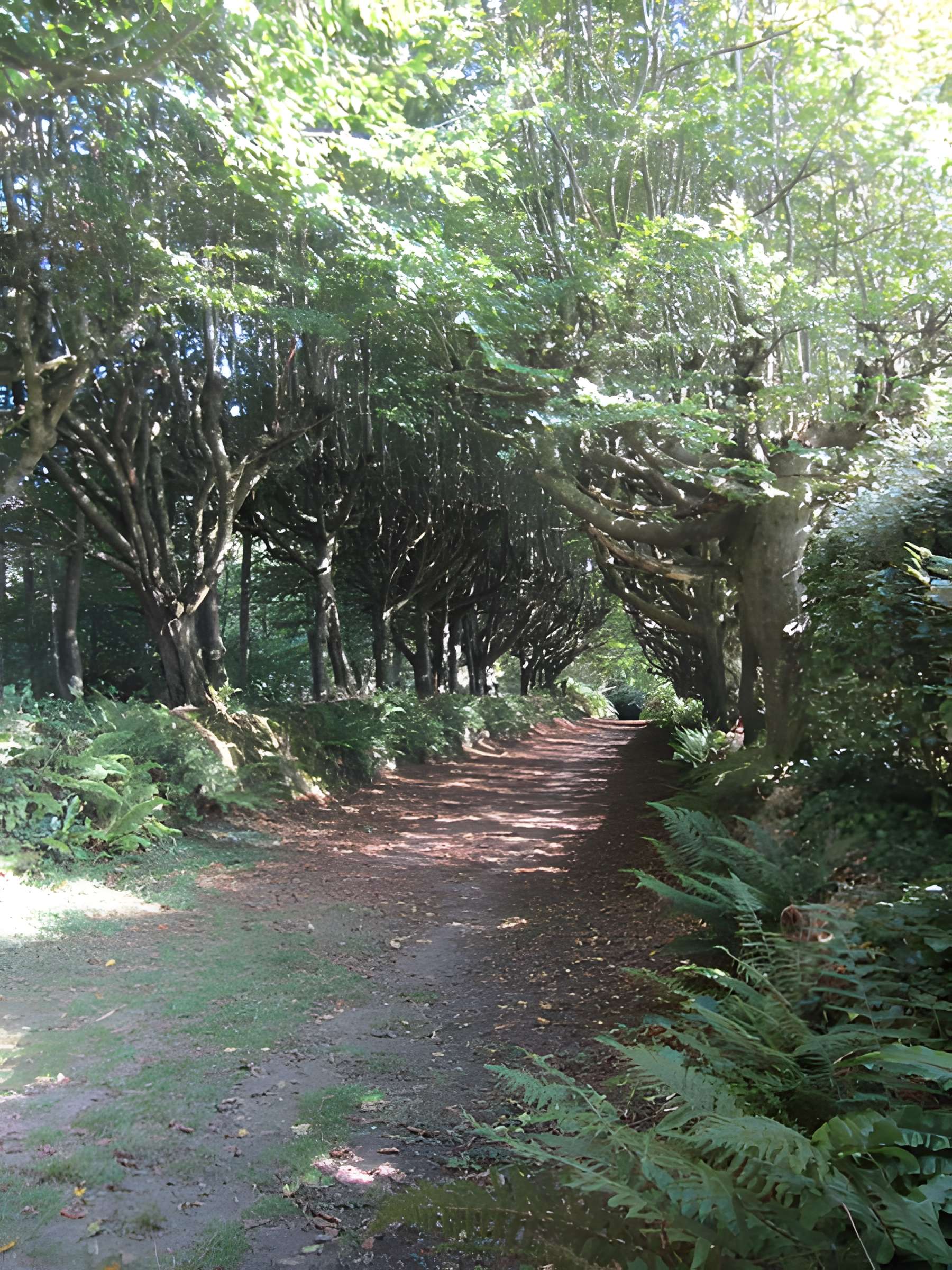 Château de Carneville