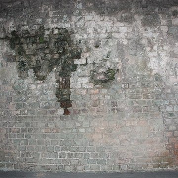 Amphithéâtre de Fréjus