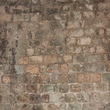 Amphithéâtre de Fréjus