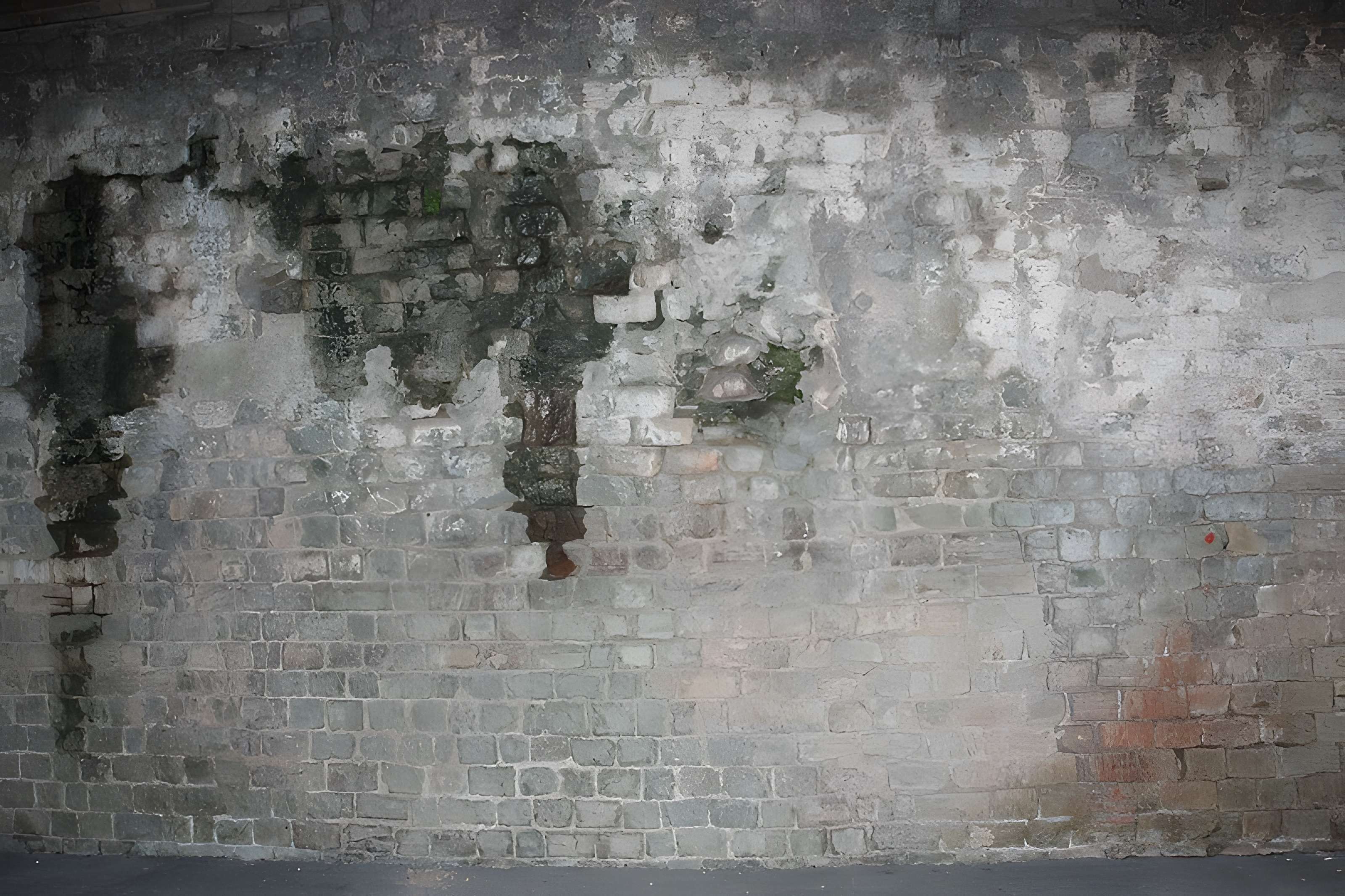 Amphithéâtre de Fréjus