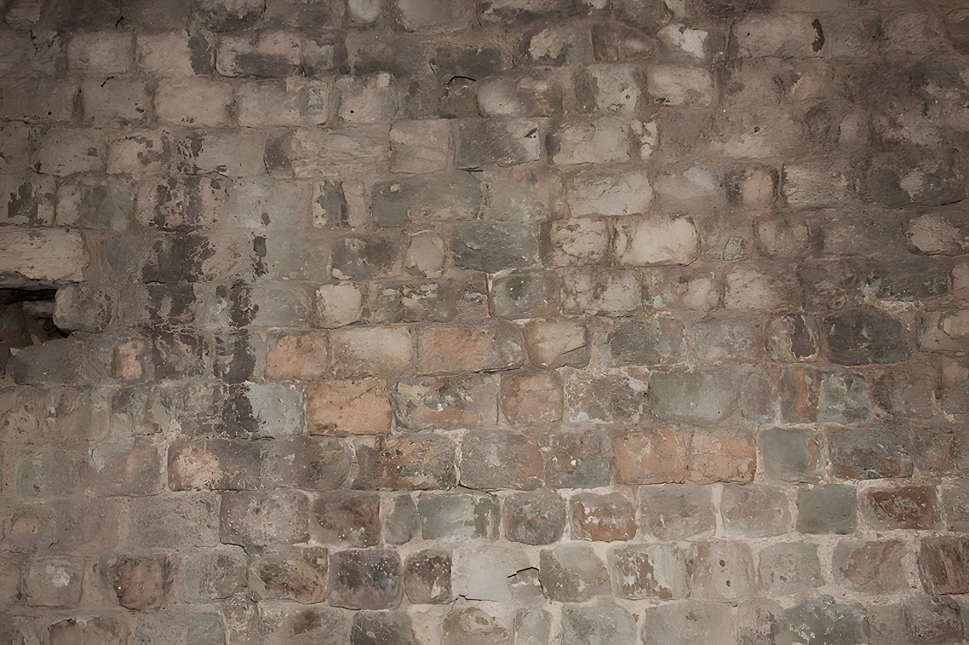 Amphithéâtre de Fréjus