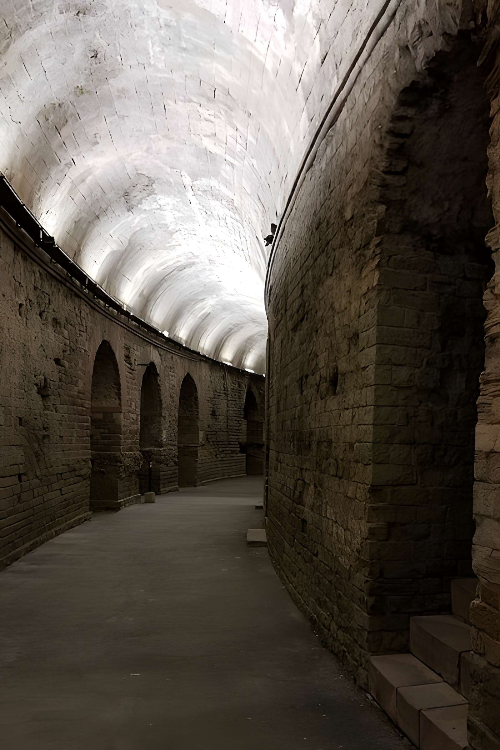 Amphithéâtre de Fréjus