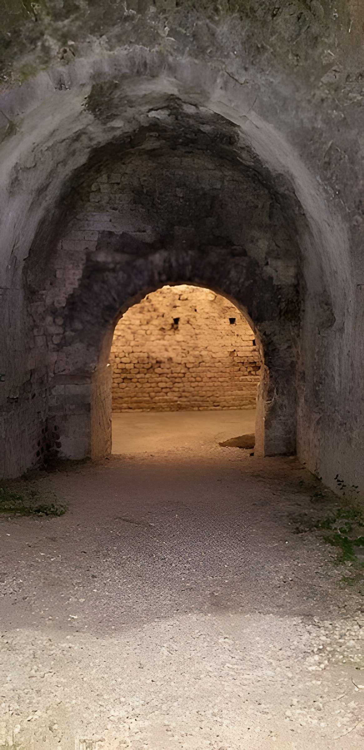 Amphithéâtre de Fréjus