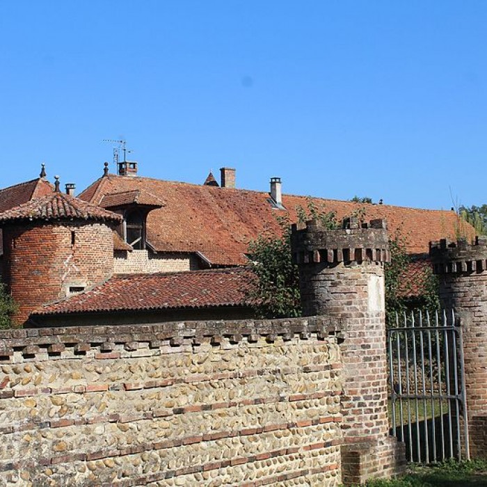 Photo de Château de Chanoz-Châtenay