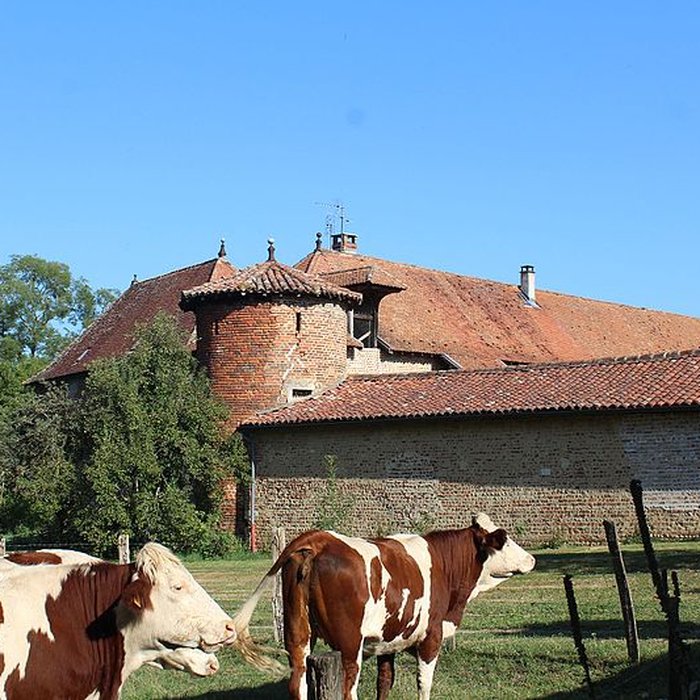 Photo de Château de Chanoz-Châtenay
