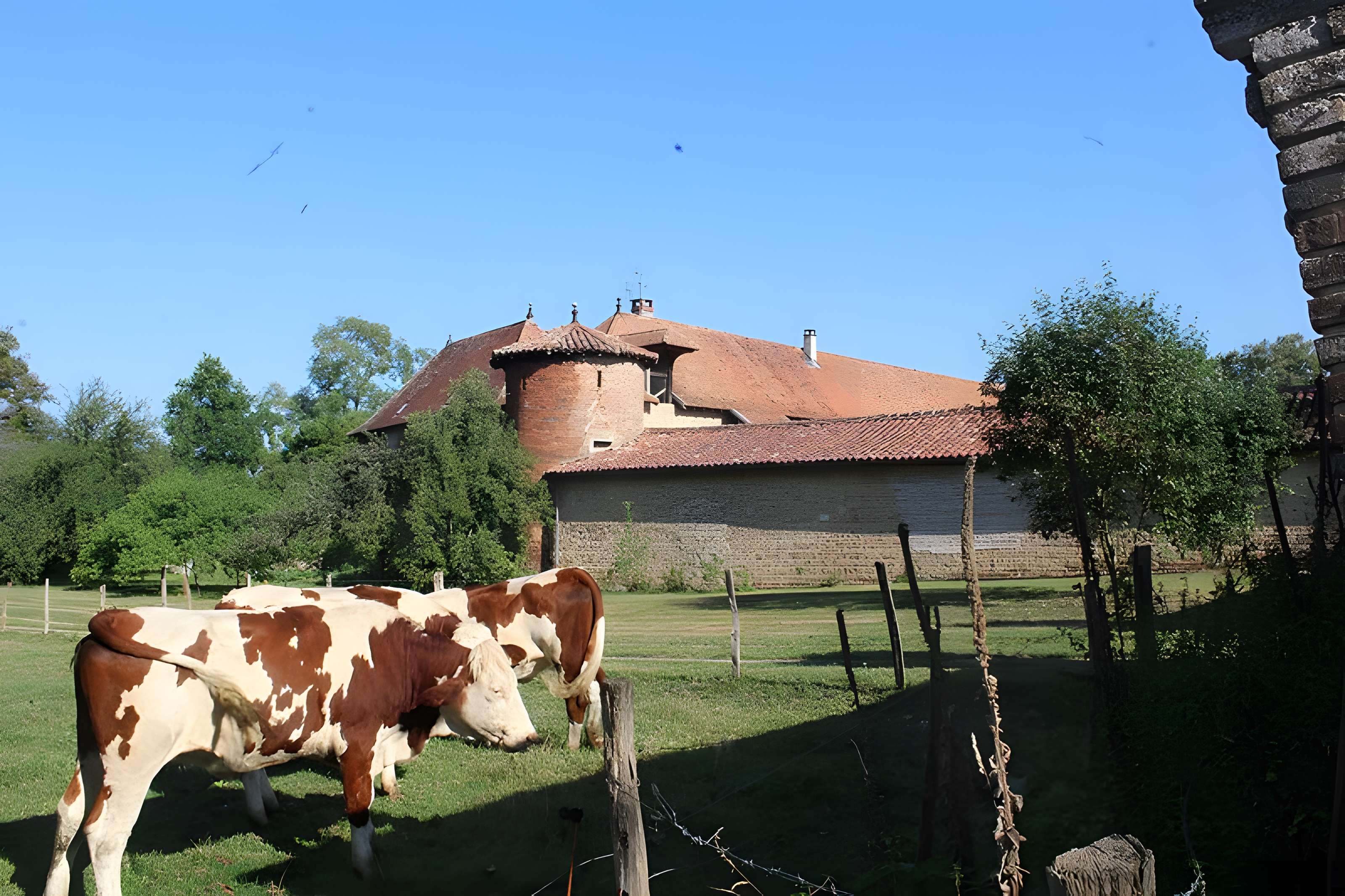 Château de Chanoz-Châtenay