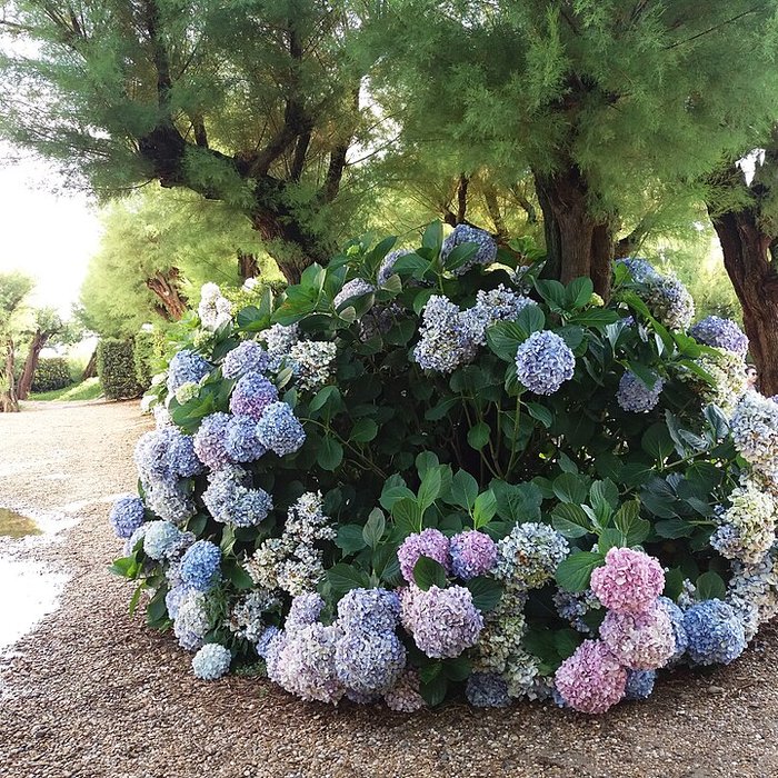 Photo de Phare de Biarritz