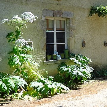 Château de Chassaigne 