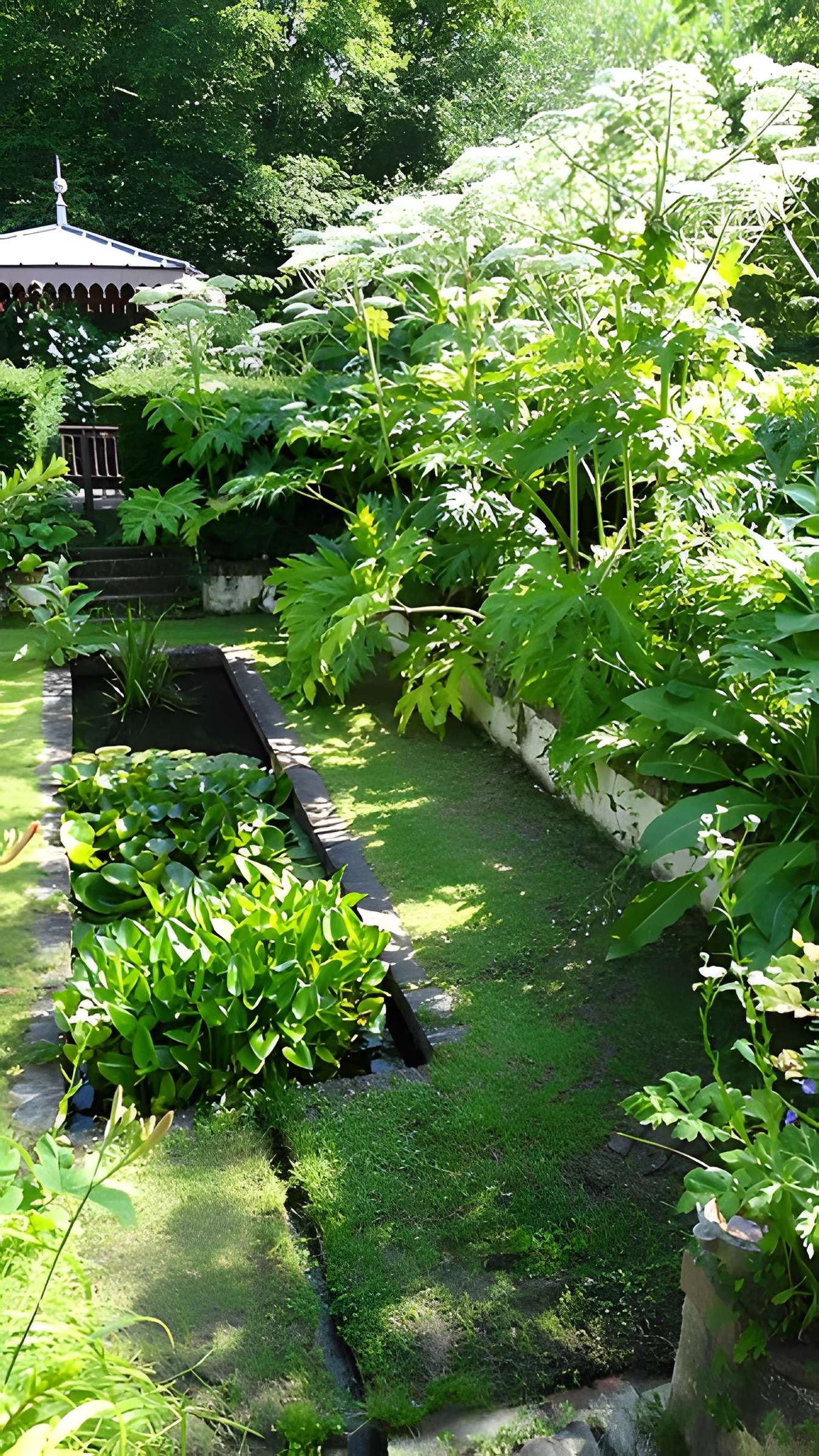 Château de Chassaigne 