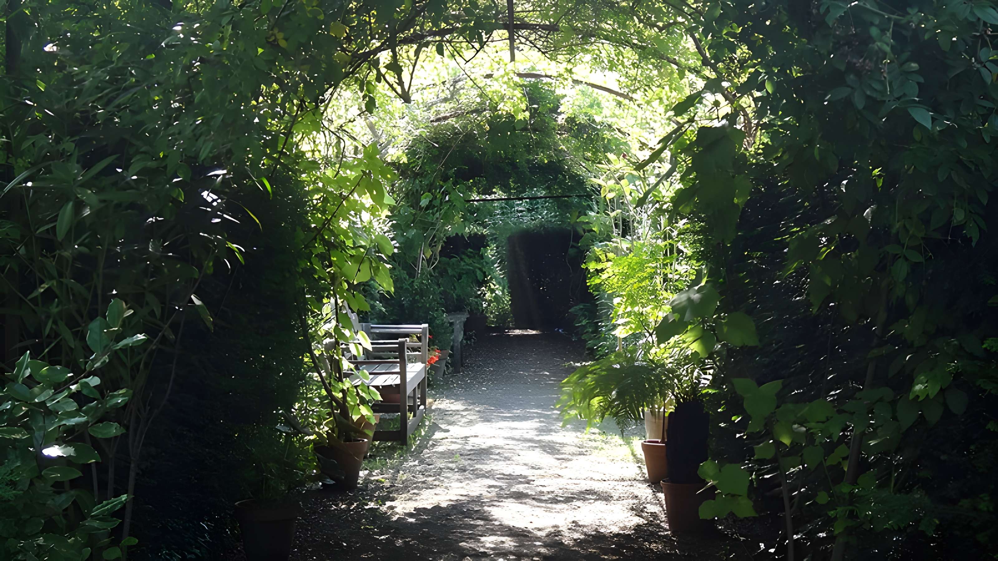 Château de Chassaigne 