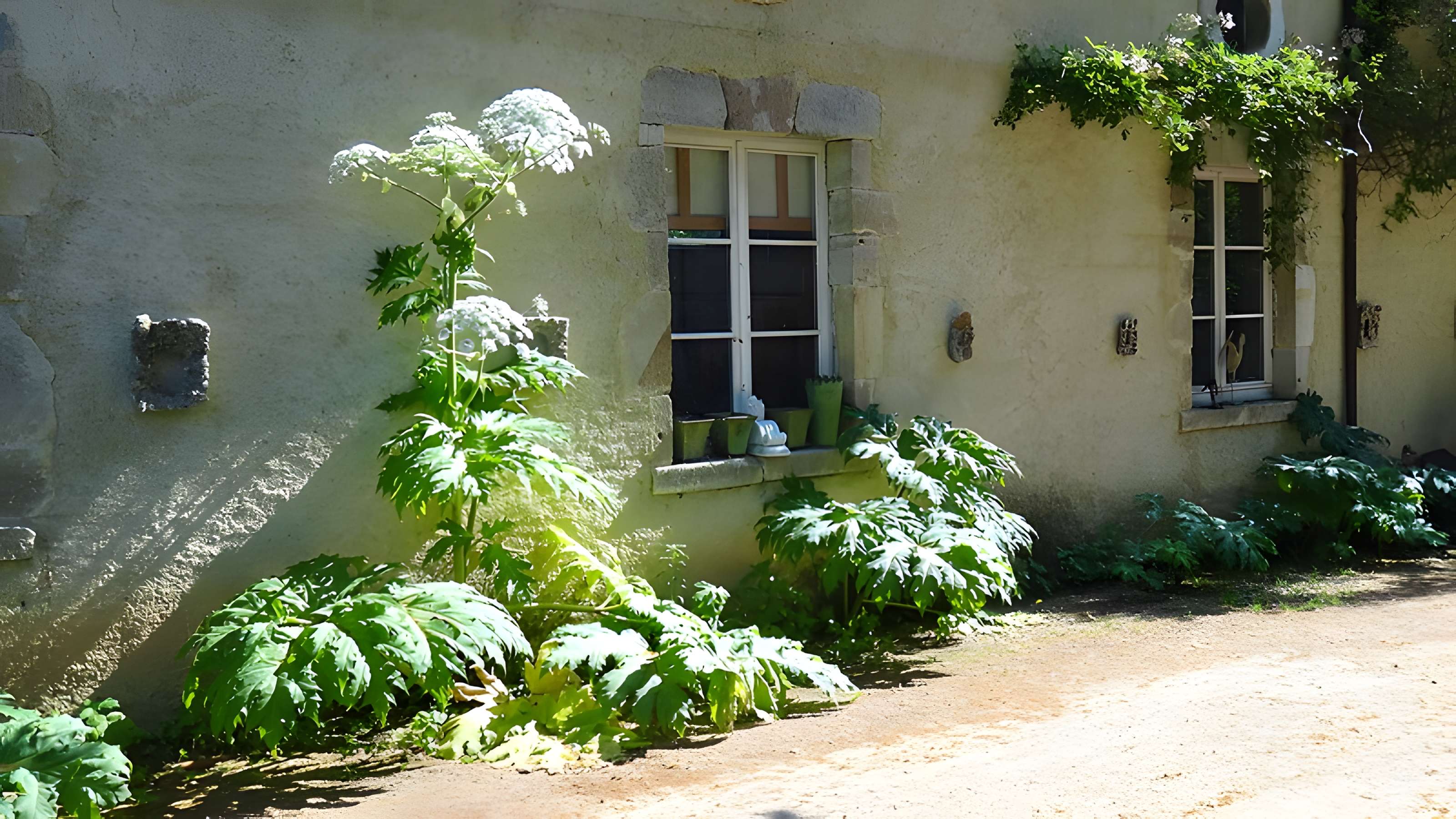 Château de Chassaigne 