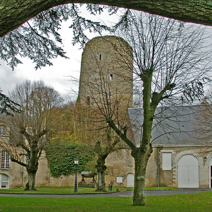 Photo de Château de Château-Renault