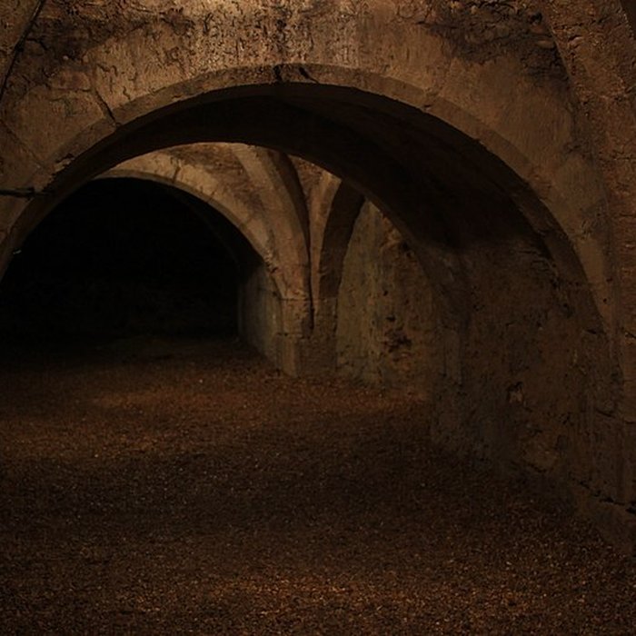 Photo de Château de Château-Renault