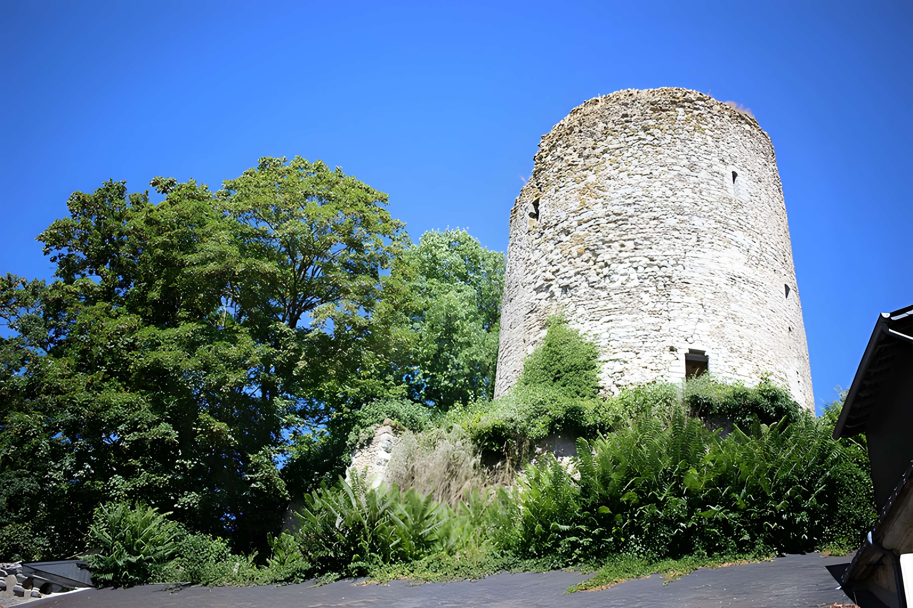 Château de Château-Renault