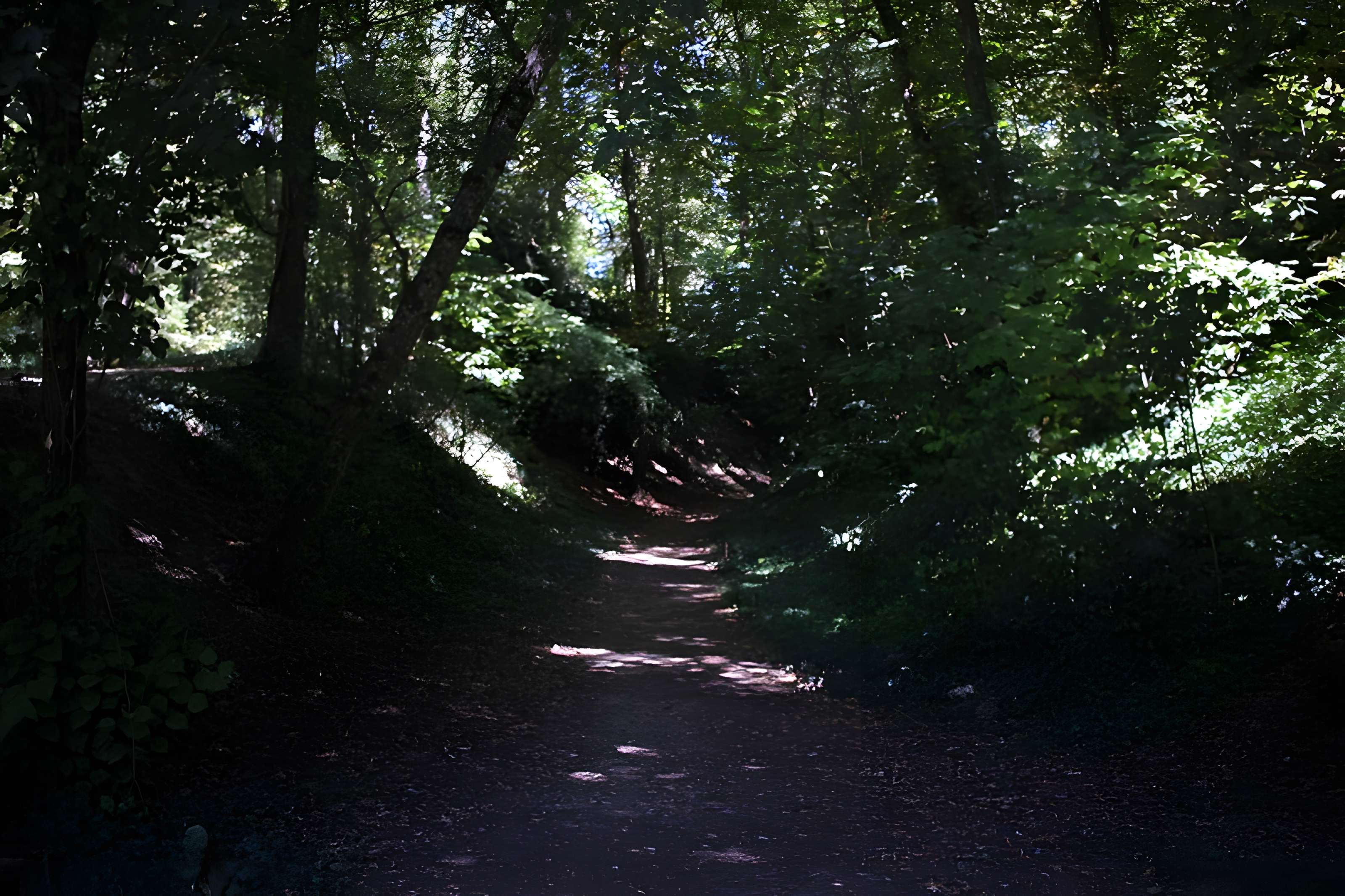 Château de Château-Renault