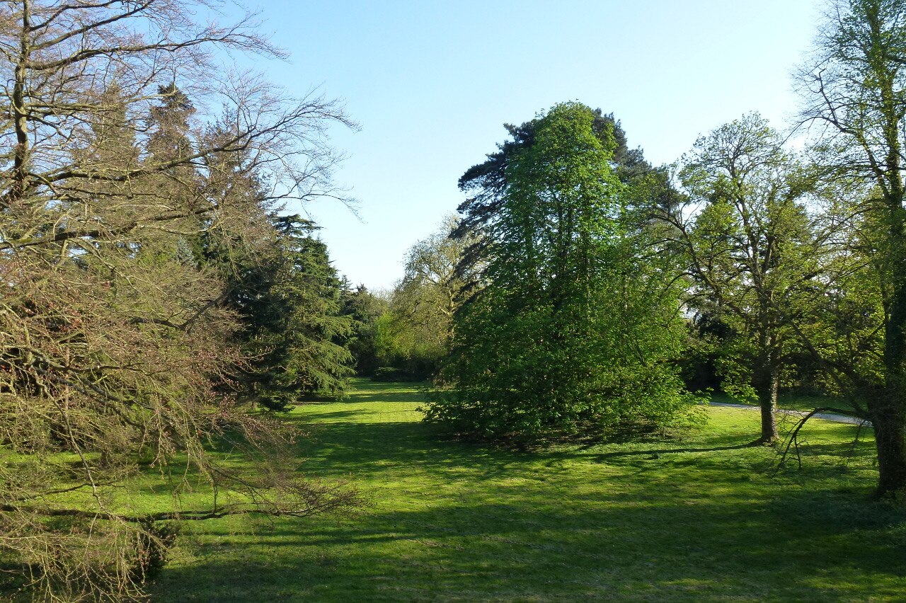 Château de Châtenay