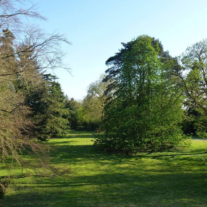 Photo de Château de Châtenay