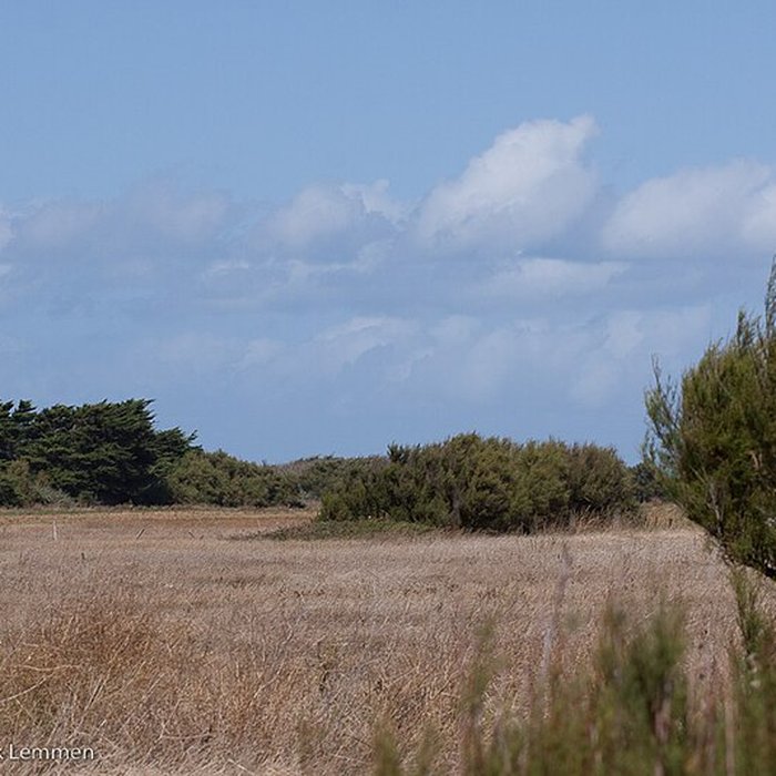 Photo de Phare de Chassiron