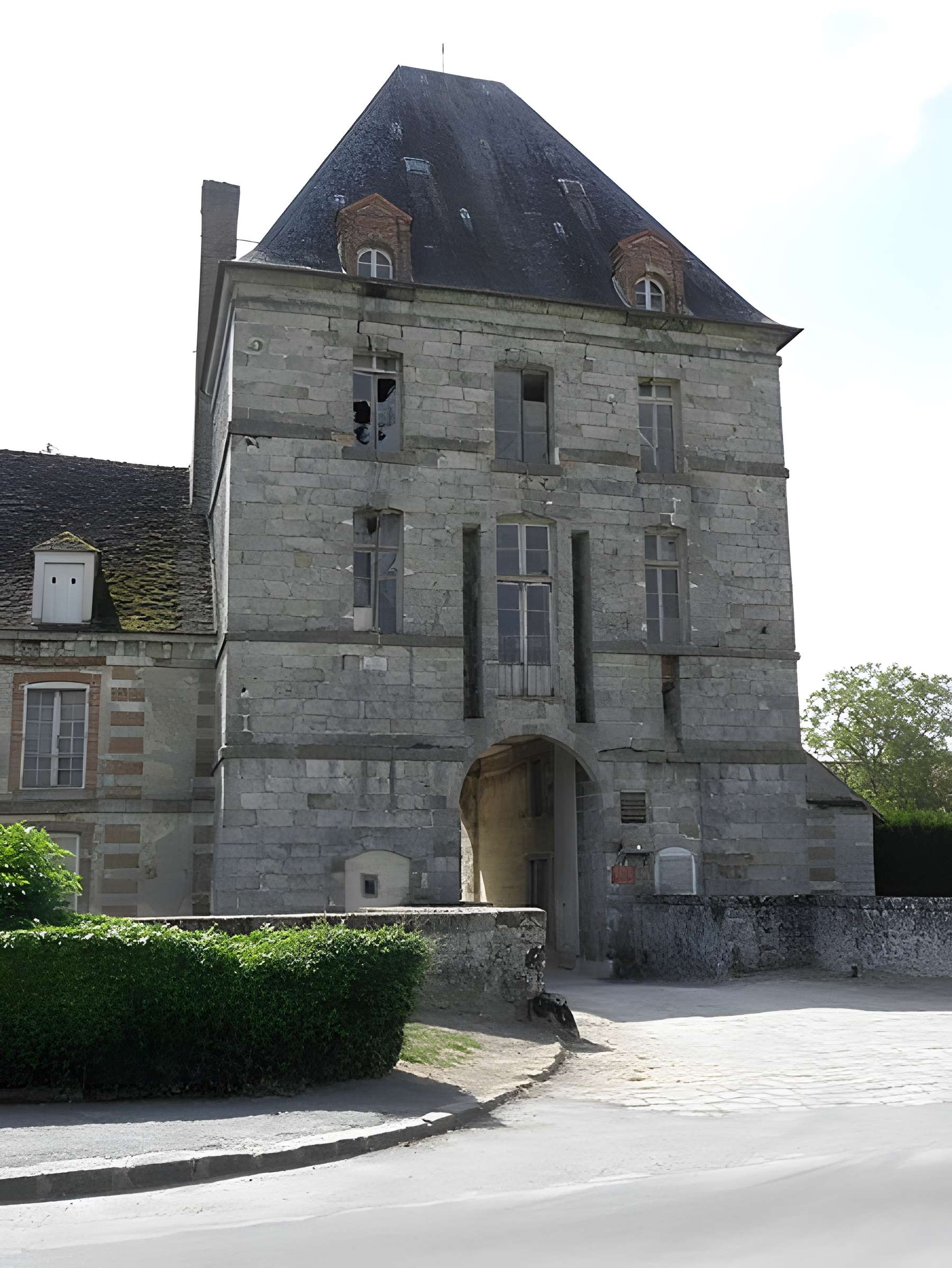 Château de Chenoise 