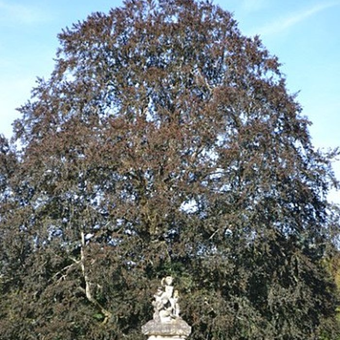 Photo de Château de Chevilly