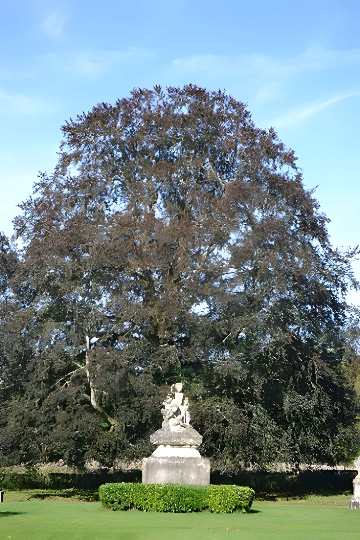 Château de Chevilly