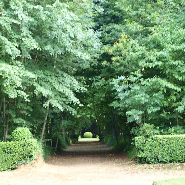 Photo de Château de Chevry-en-Sereine