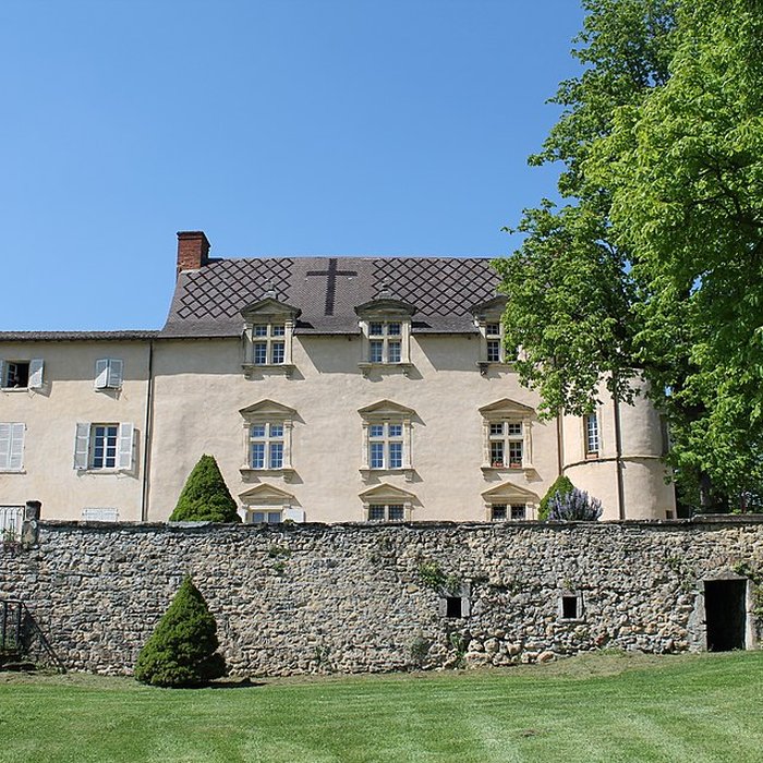 Photo de Château de Chonas