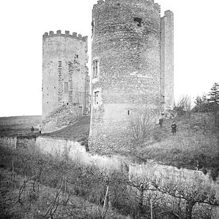 Photo de Château de Cinq-Mars