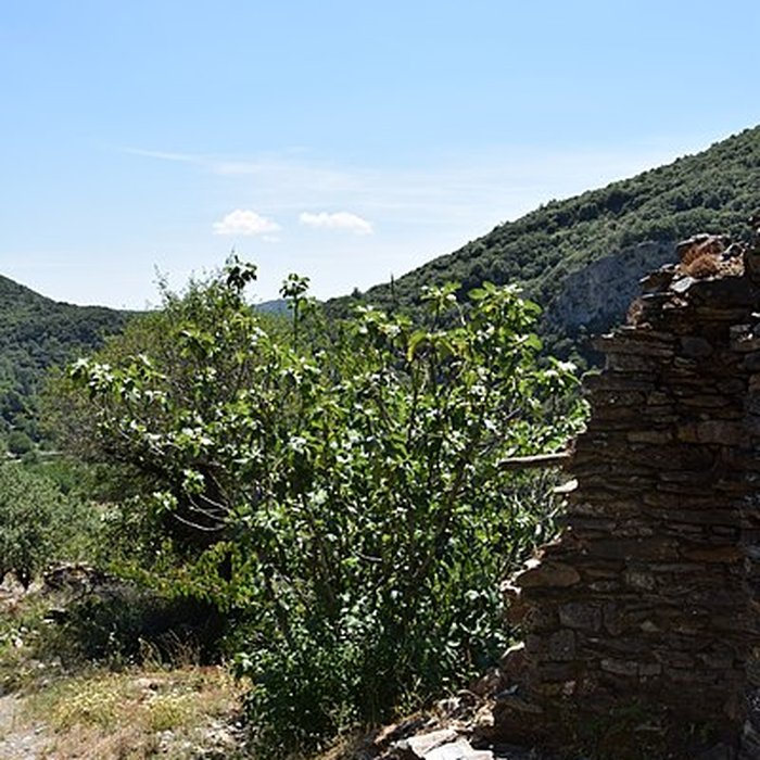 Photo de Château de Citou