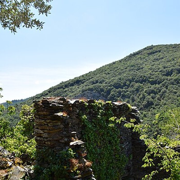 Photo de Château de Citou