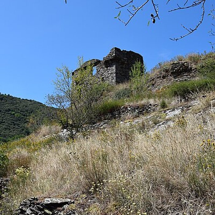 Photo de Château de Citou