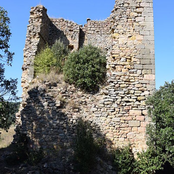 Photo de Château de Clermont-sur-Lauquet