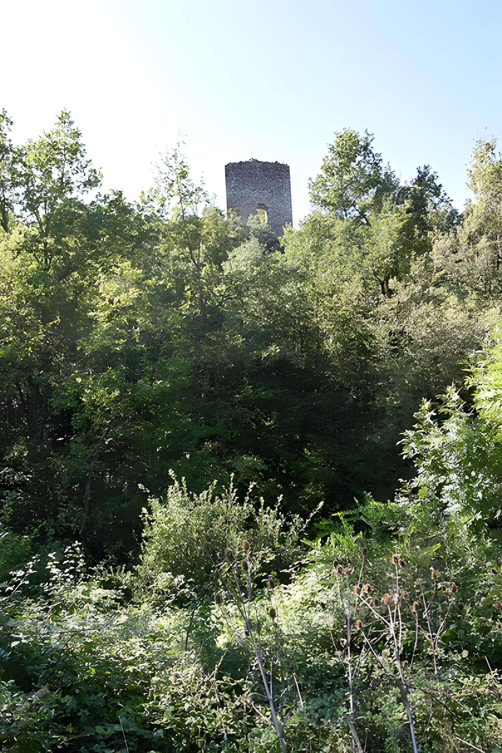 Château de Clermont-sur-Lauquet