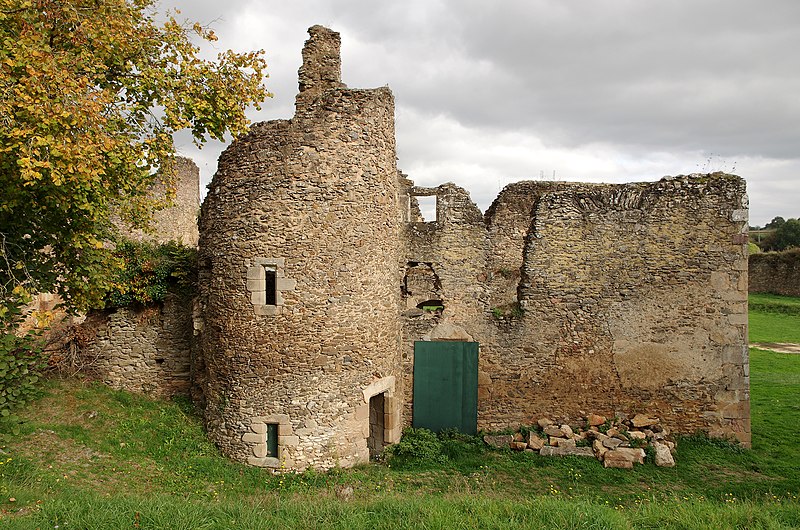 Château de Cluis