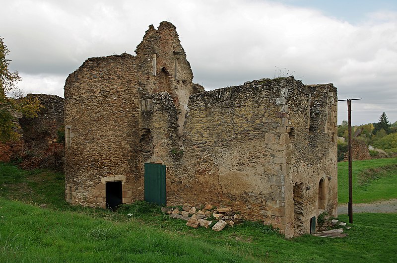 Château de Cluis