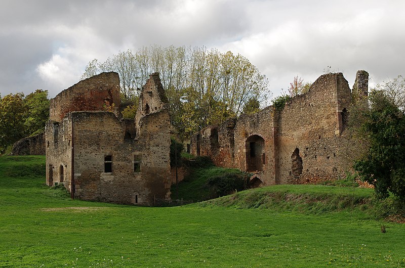 Château de Cluis