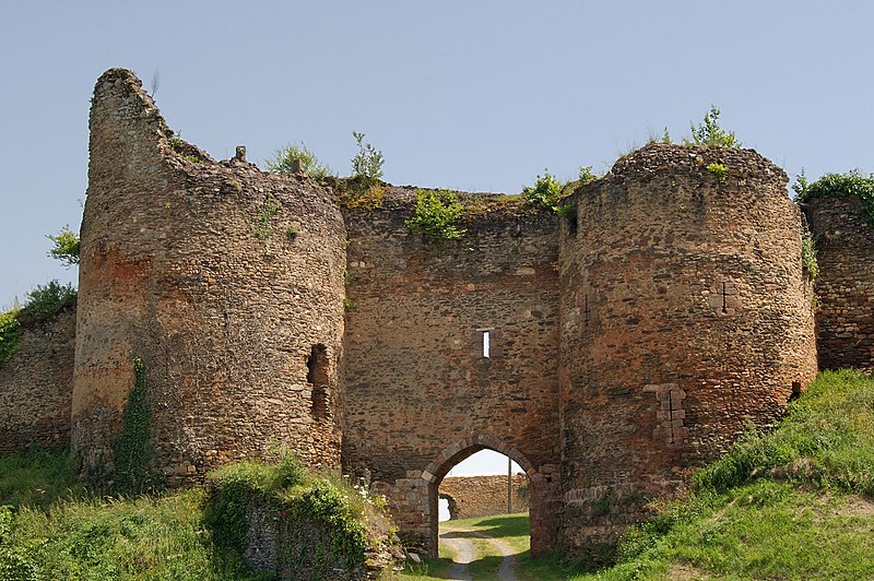 Château de Cluis