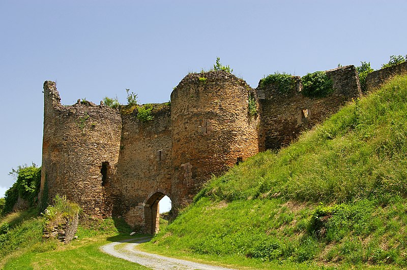 Château de Cluis