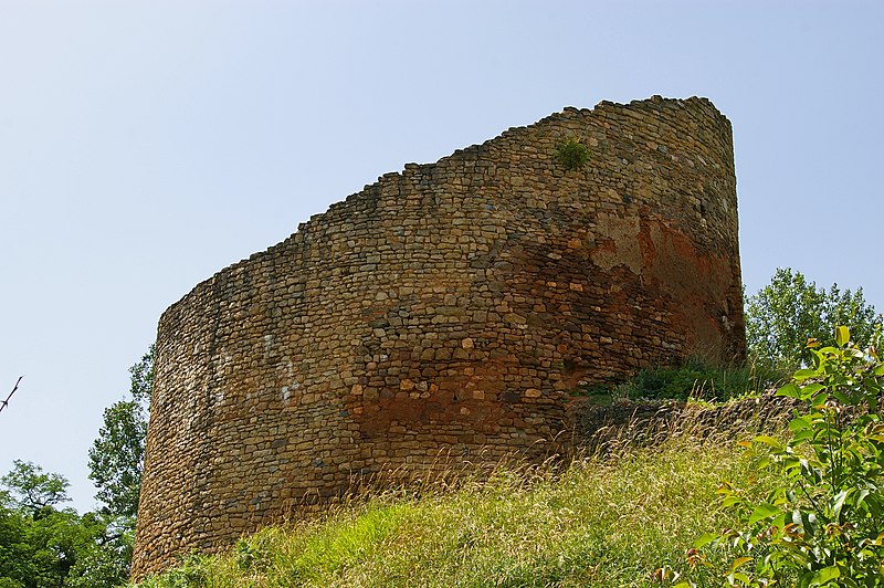 Château de Cluis